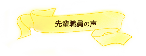 先輩職員の声